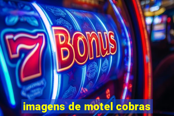 imagens de motel cobras